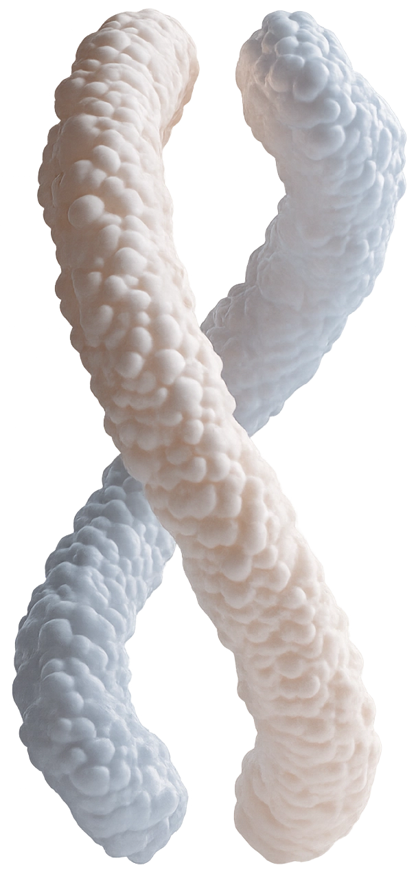 DNA